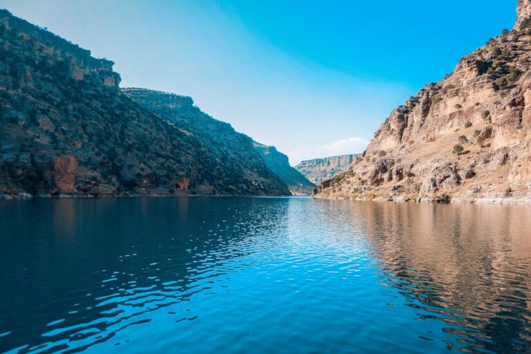 Wooden chicken coop in a backyard setting