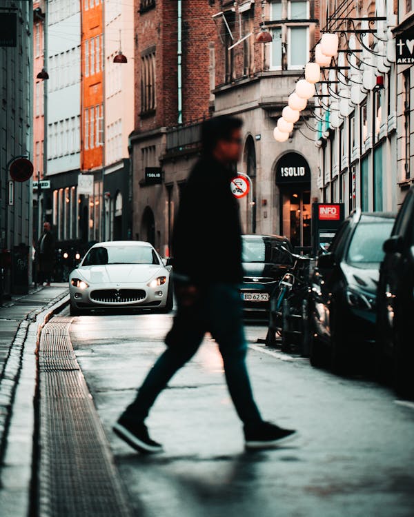 Glass cold frame protecting plants in an early spring garden