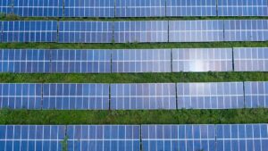 Handmade natural soap bars with herbs and flowers