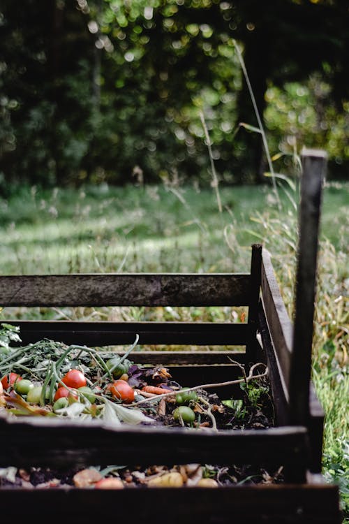 Vegetables and organic matter on soil for composting