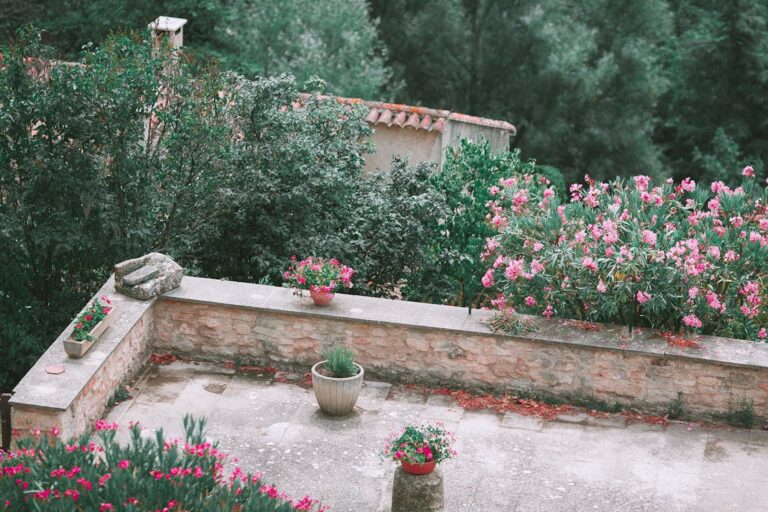 Potted plants and flowers growing on a sunny balcony
