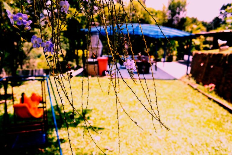 Red wiggler worms in rich compost soil